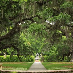 Music in the Gardens